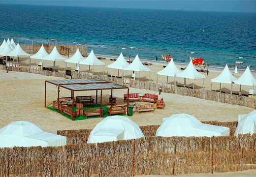 Full Day Desert Safari (9hr)